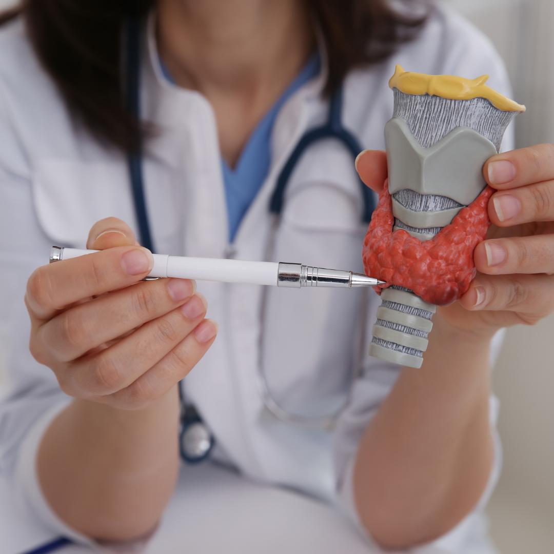 xr:d:DAF8OMAd8MI:17,j:4717939491963779090,t:24021616